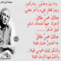 Akram Karam