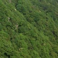 王富荣