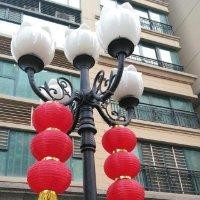 林双菊