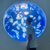 莊竣傑
