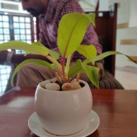 Babu Rajendra Prasad K