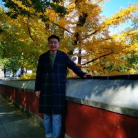 Qingfeng Li