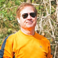 Al Hodges