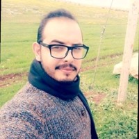 Ammar Khalayleh