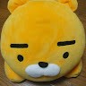 노승원