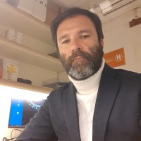 Meloni Stefano
