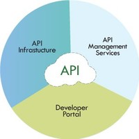 Api Tester