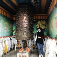 刘思思