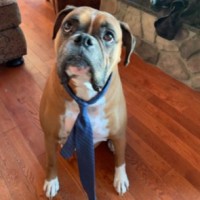 Woody Sperry-McLaughlin