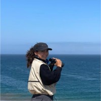 Vania Arrese Dávila