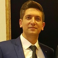 ali shoeibi