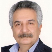 Mehdi Salimzadeh