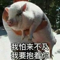 杨毅飞