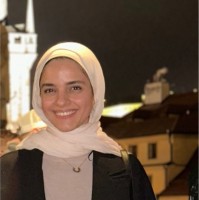 Alaa Setouhi