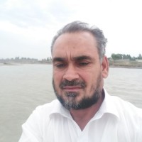 ali gohar