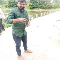 Pavan Pavi