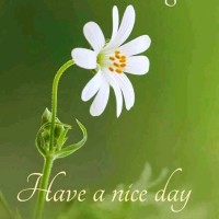 Lakshmi Rajesh Lucky