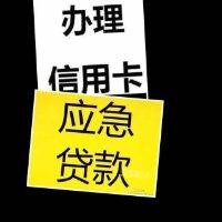 欧小东