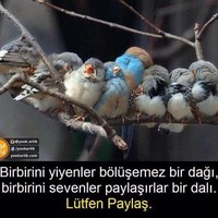Birsel Demirel