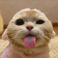 刘培兵