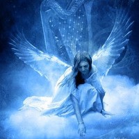 Angel Studer