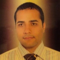 Wael Abdelrazik Abd Elwahid