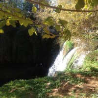 OMAR abdulaziz morisi