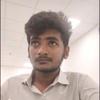 Hameed Raja A