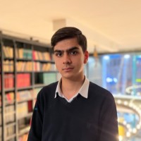 Mohammad Mahdi Ansari
