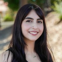 Niki Abdollahian