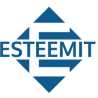 Team EsteemIT