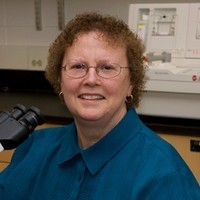 Mary Ann McLane