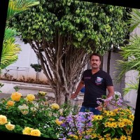 manju j p puttappalavara