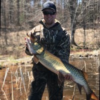 Logan Zebro