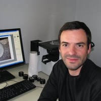 Aurélien Robineau