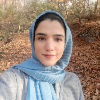 Elham Sadat Miri