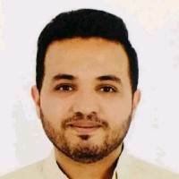 Mohamed Abdelsatar Mousa