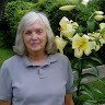 Jo Ann Torrence