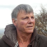 michael halsey