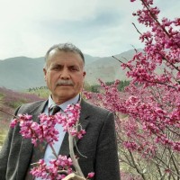 Nesar A. Kohestani, M.Sc.