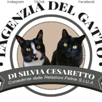 Silvia Cesaretto