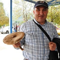 Ali Topal
