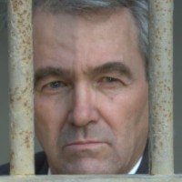 Michael J Daily
