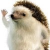 Fluffy Pinguin