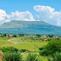 Sibusiso Msomi