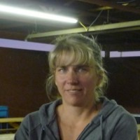 Lisa Crowe