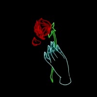 Nehir M.