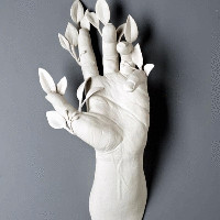 Ahmed Abdelkader
