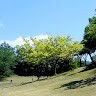 柴田正明