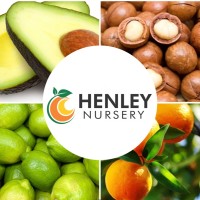 Henley Nursery